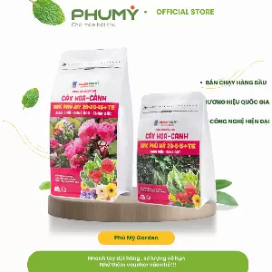 Combo Cây hoa cảnh