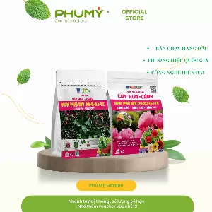Combo Cây hoa cảnh