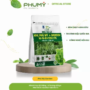 Rau ăn lá 16-16-8 túi 500gram