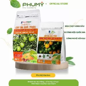 Combo Cây ăn quả